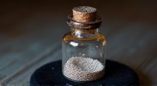 Orchid Genesis: Unraveling the Secrets of Seed Propagation in a Sterile Realm